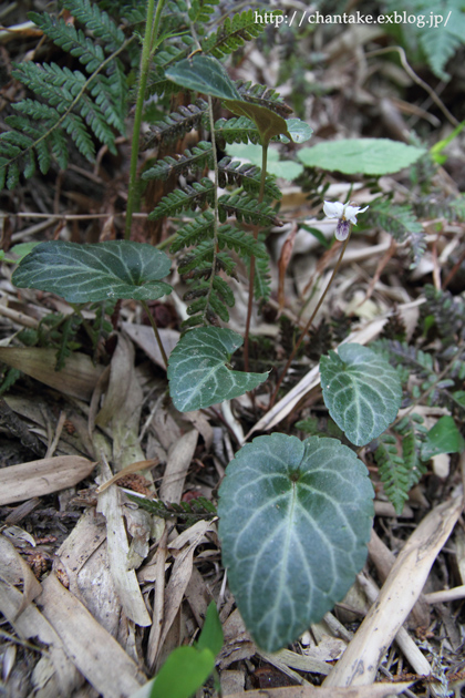 c0189013_744070.jpg