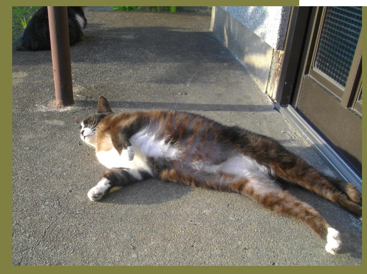 さらばモスクワ愚連隊 シェークスピアの猫 さらばモスクワ愚連隊 シェークスピアの猫