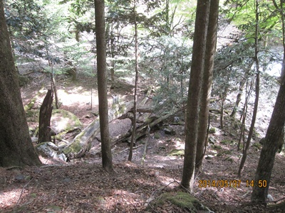 f0193521_18441687.jpg