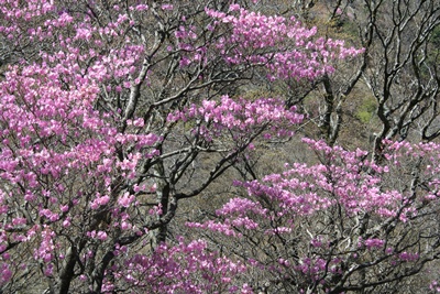 f0193521_18501230.jpg