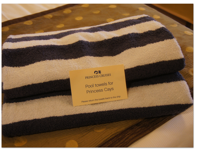 東カリブ海クルーズ(8) チェックイン&キャビン_d0210324_6521933.jpg