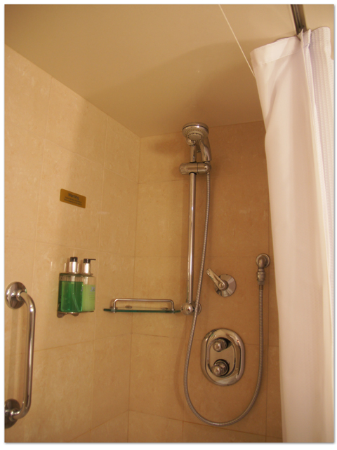 東カリブ海クルーズ(8) チェックイン&キャビン_d0210324_652527.jpg