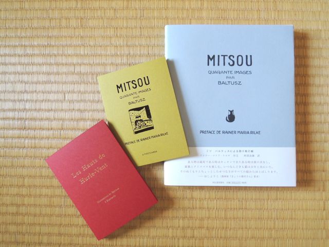 Mitsou Baltusz 1921 クリアファイル 金色のコルダ コンクール楽譜集