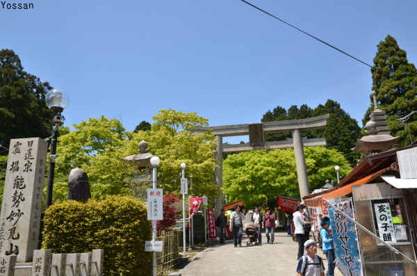 a0300829_22481285.jpg