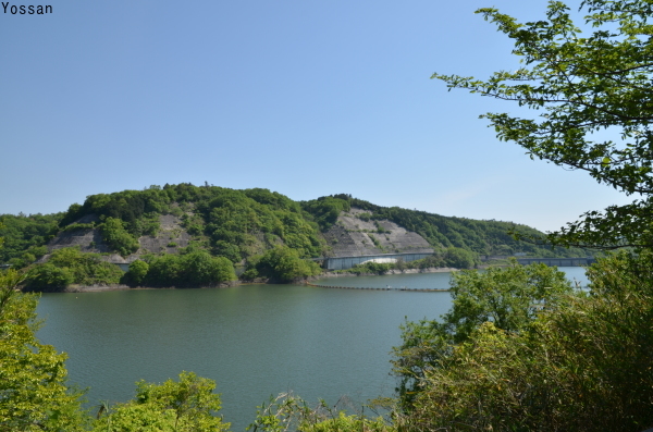 a0300829_23284524.jpg