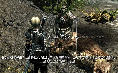 Pc版 Tes V Skyrim の雑記 その6 ゴチログ Gotthi Log