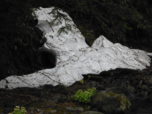 e0262235_21112060.jpg