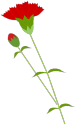 a0216142_22503067.gif