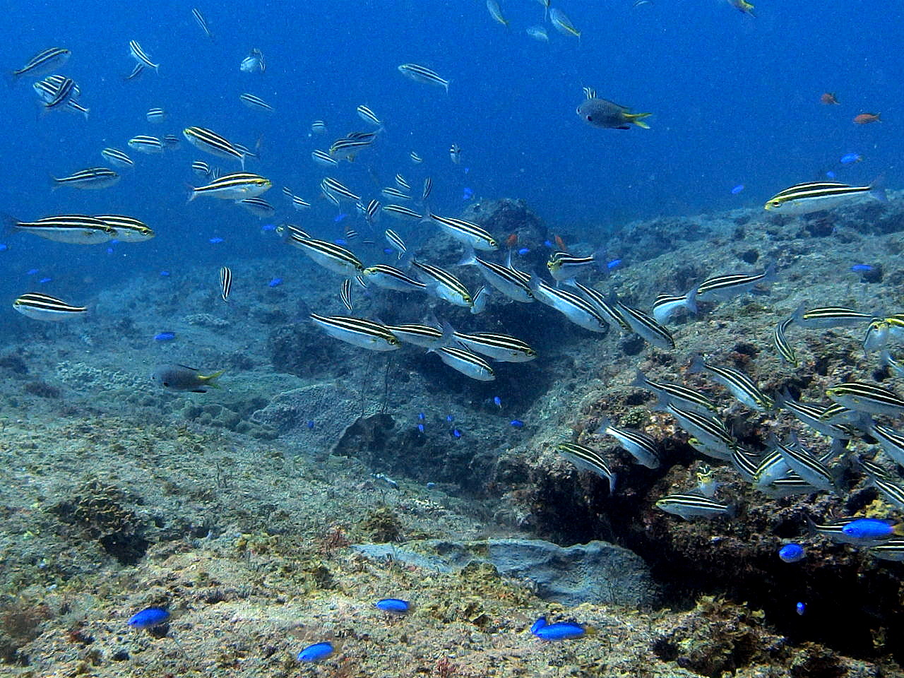 b0236647_13444779.jpg
