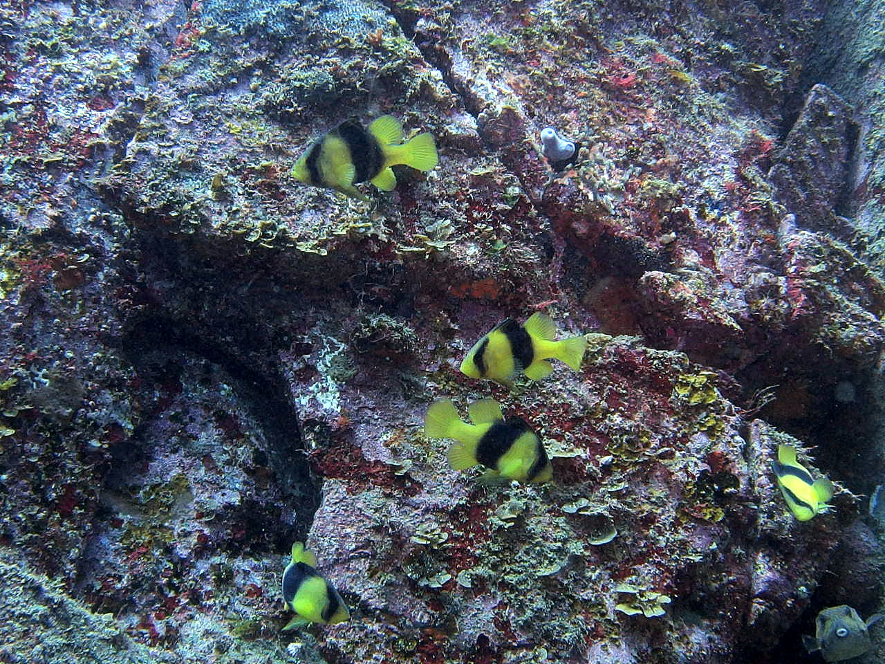 b0236647_1442527.jpg