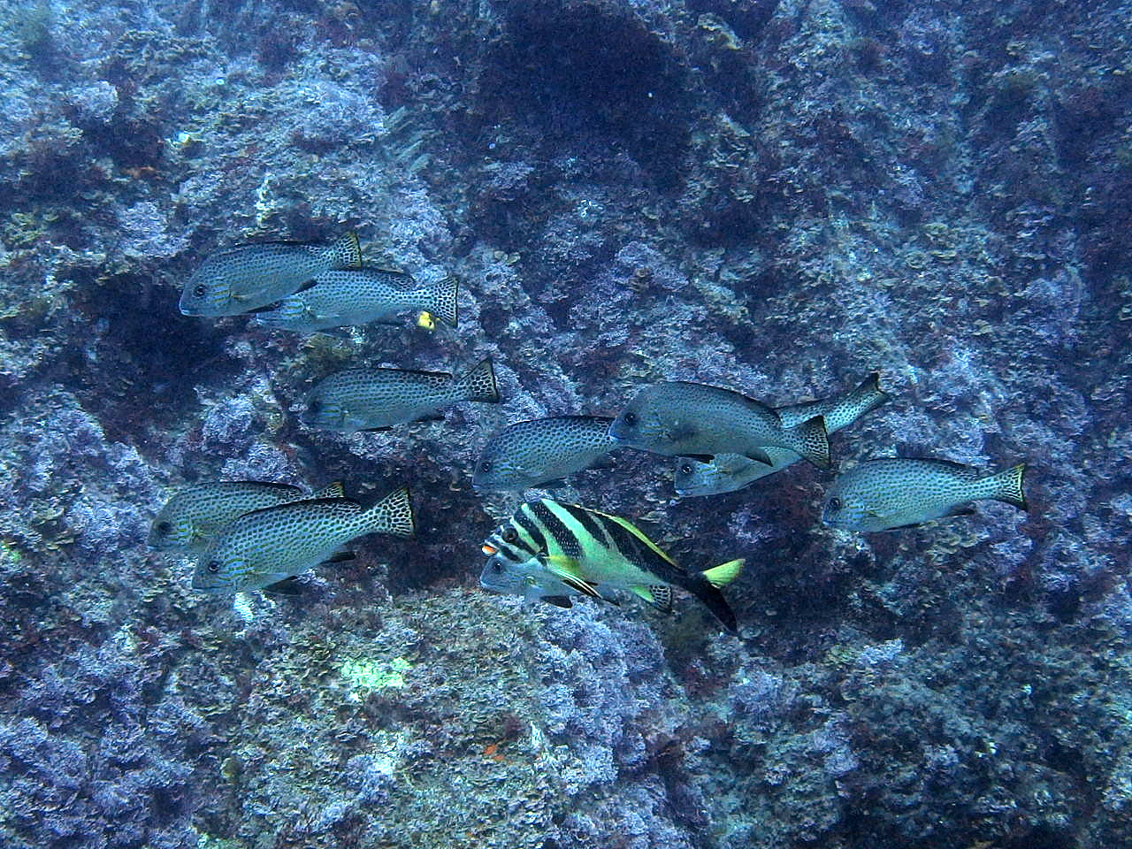 b0236647_144475.jpg