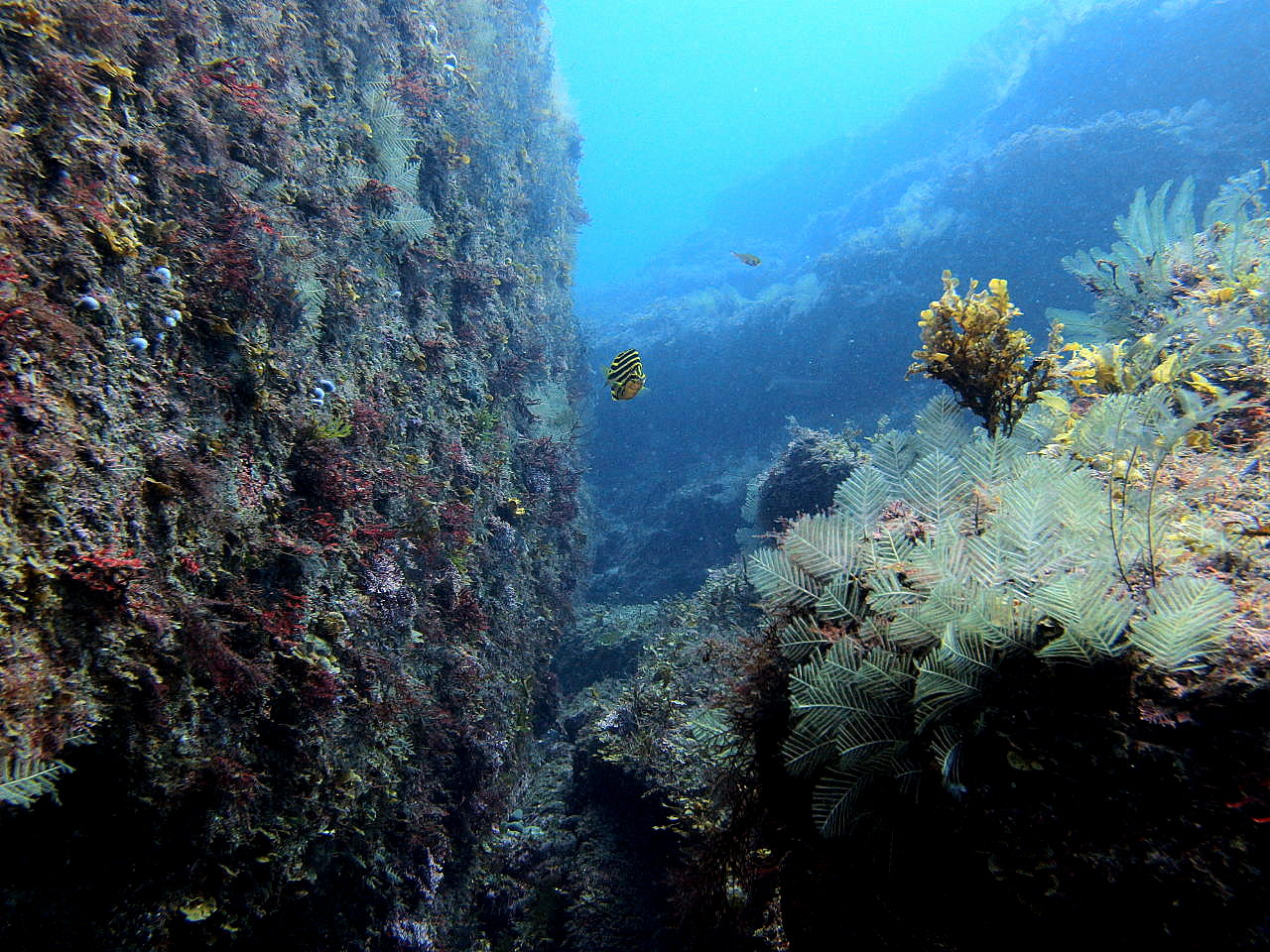 b0236647_149133.jpg