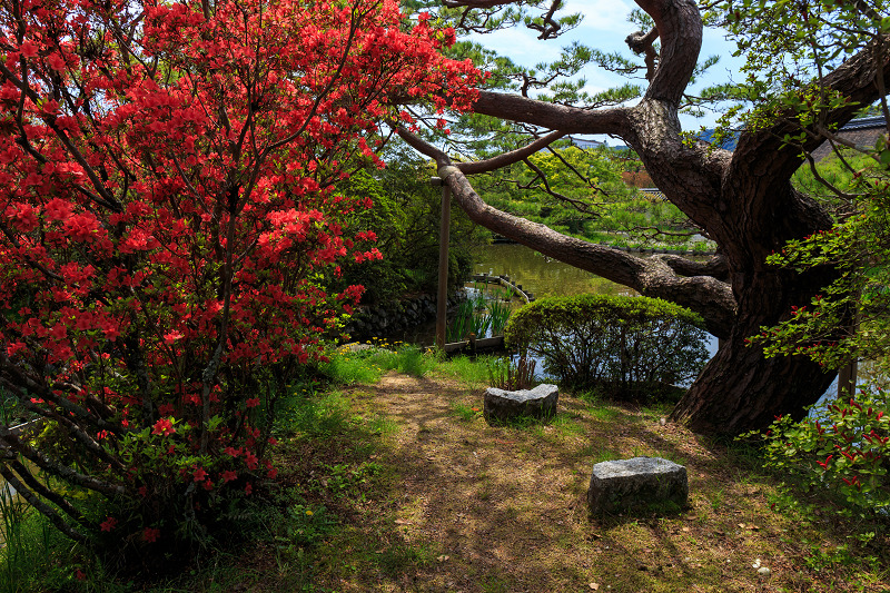 春の花咲き乱れる梅宮大社_f0155048_0155980.jpg