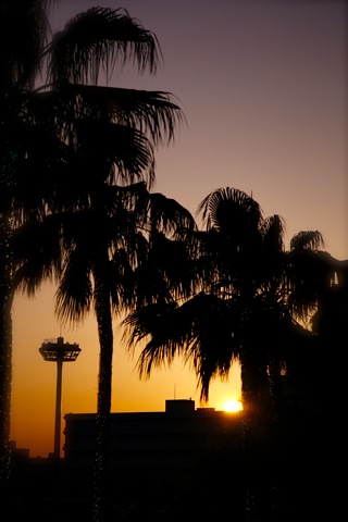 twilight time.._f0057849_9485555.jpg