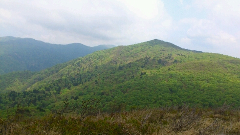 b0148050_14582962.jpg
