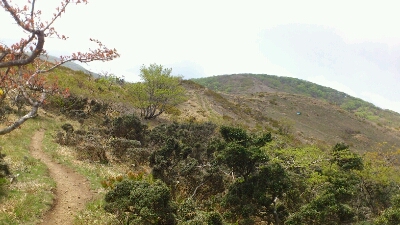 b0148050_14585948.jpg