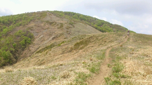 b0148050_14594132.jpg