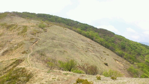 b0148050_150225.jpg