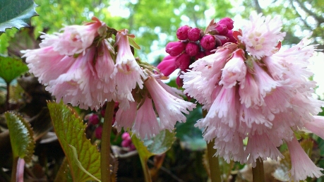 b0148050_1510748.jpg