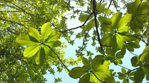 b0148050_1511077.jpg
