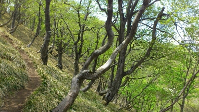 b0148050_1512187.jpg