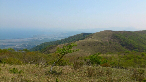 b0148050_1565170.jpg