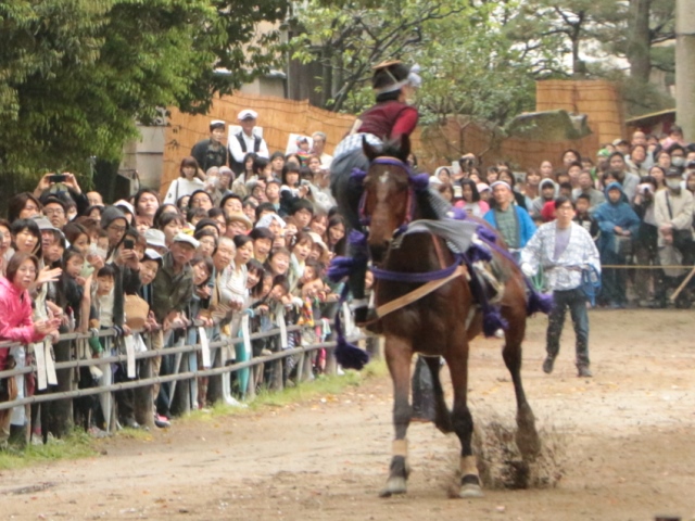 藤森神社　駈馬神事（2014）_e0017051_22213770.jpg