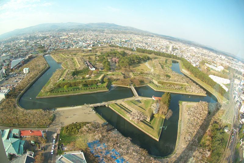 五稜郭公園・・・・・・・エゾヤマザクラが多く葉桜でした。_f0342651_11230301.jpg