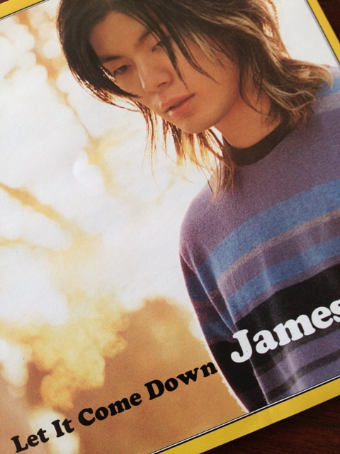 緑の季節に～James Iha : my record