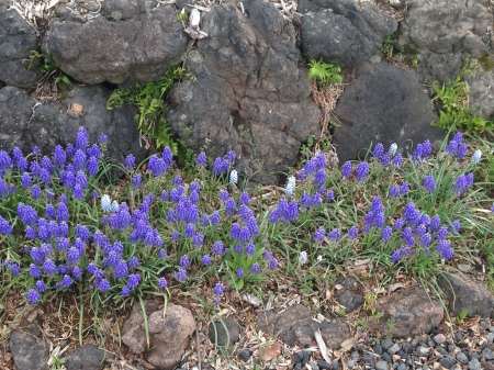 e0325660_12375211.jpg