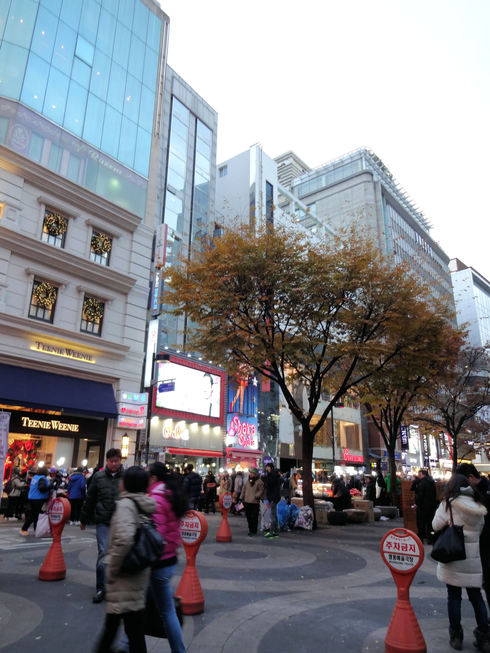 11月　ソウル旅行　その12 明洞から江南駅はバスだと近い事をイマサラ知る♪_f0054260_514528.jpg