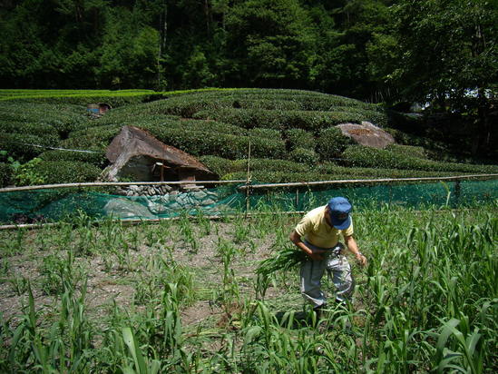 e0324368_74838.jpg