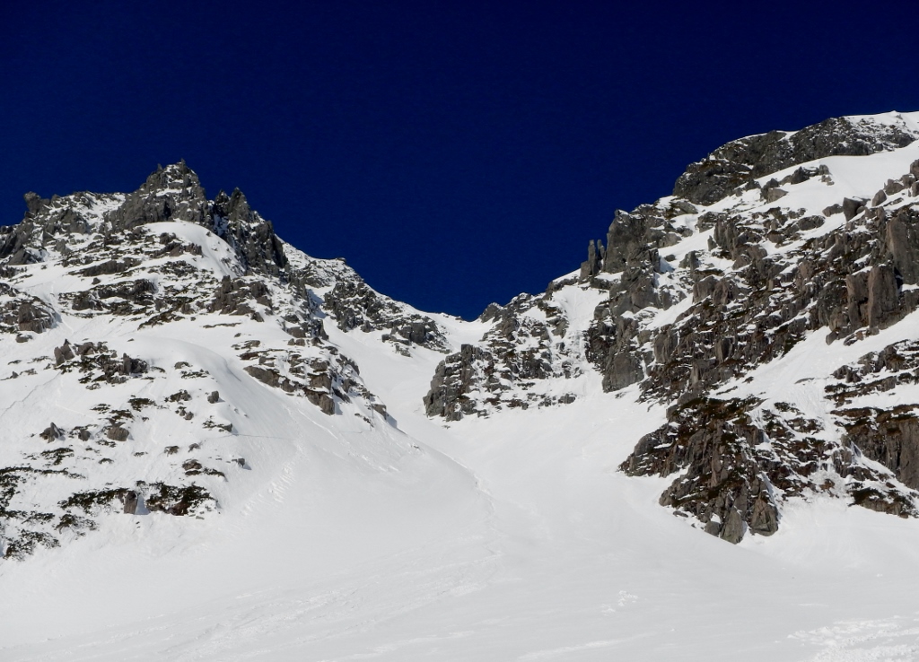 d0091069_17346.jpg
