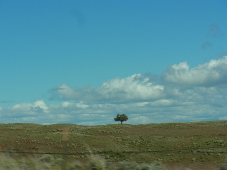 a0222070_7194282.jpg