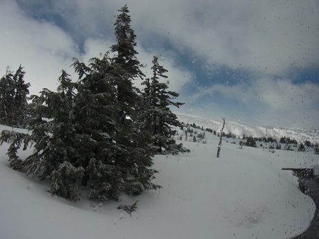 a0222070_7294575.jpg