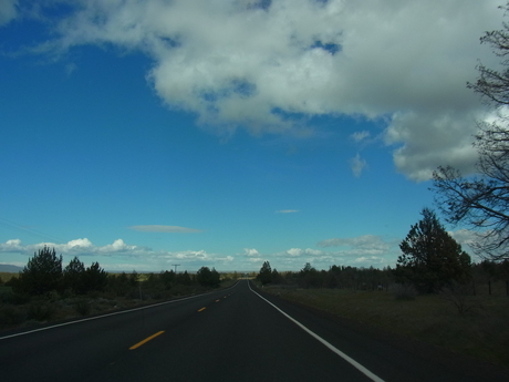 a0222070_801046.jpg