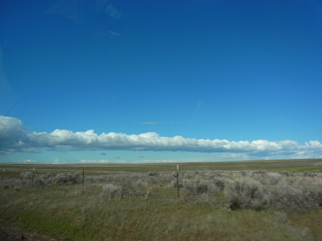 a0222070_81115.jpg
