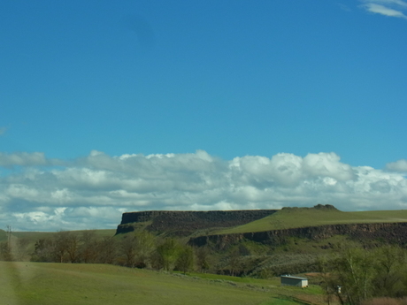 a0222070_825941.jpg