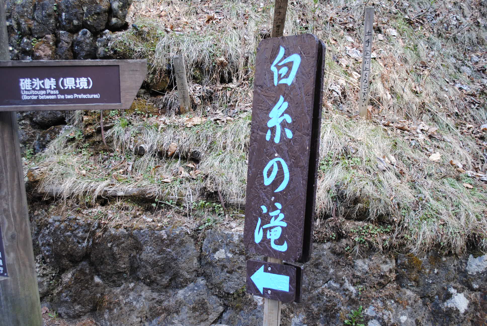 ♪ ダニエル  お友達に会いに軽井沢～(*ﾟ▽ﾟ*) ♪ 出発編_b0242873_09463708.jpg