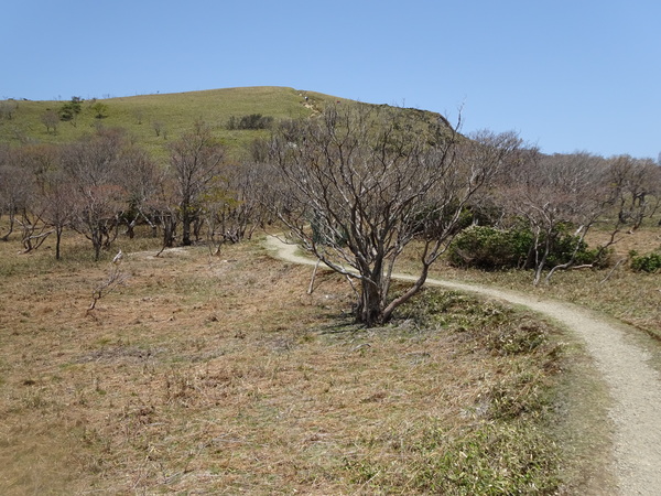 c0066176_16728.jpg