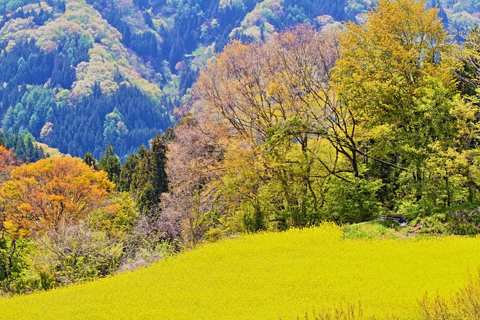 北アルプス展望道路～その1_b0297977_16542446.jpg