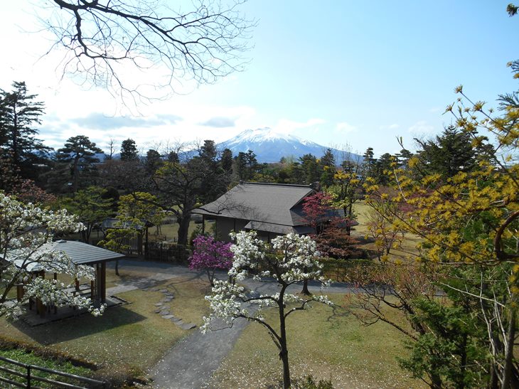 5月の藤田記念庭園茶会 開催のお知らせ_c0198781_2253155.jpg