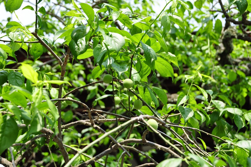 f0225982_23151783.jpg