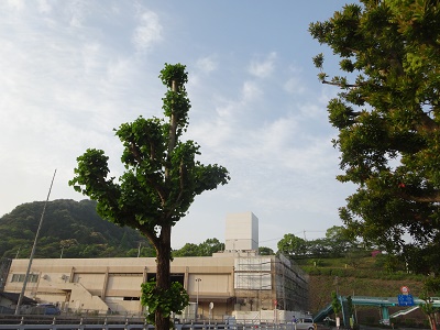 思い出の有田町_d0195183_1381796.jpg