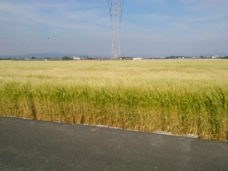 c0301085_20184956.jpg