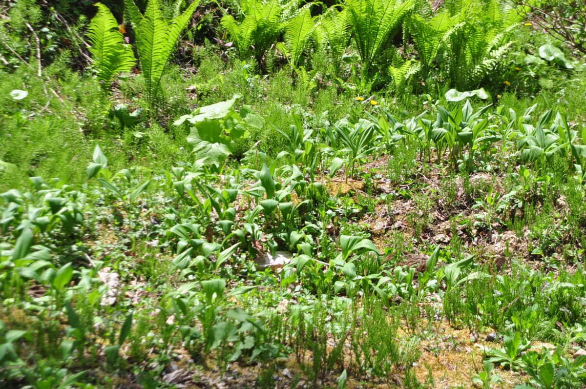 a0011690_21433213.jpg