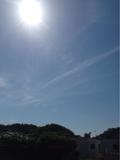f0298891_8553043.jpg