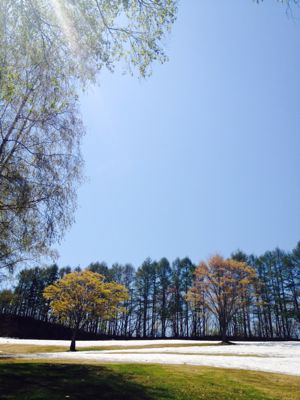 ノルディックウォーク 1_a0134394_10304296.jpg