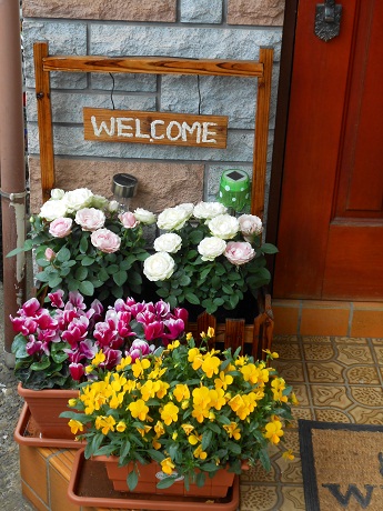 a0289494_1142750.jpg