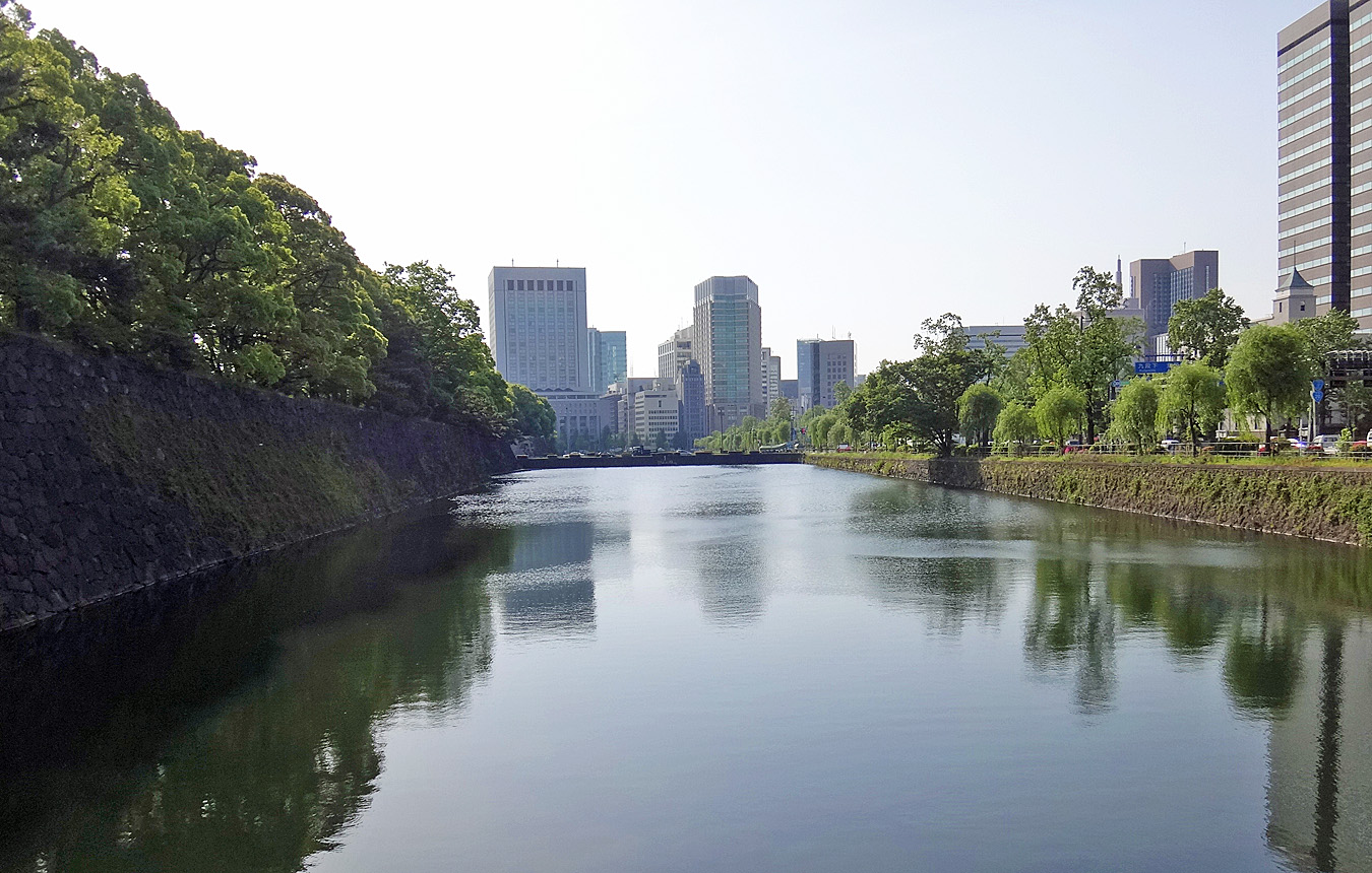 グリーン駅伝 2014.05.10_c0025895_8435459.jpg